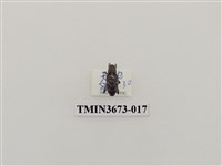 藏品(象鼻蟲(1))的圖片